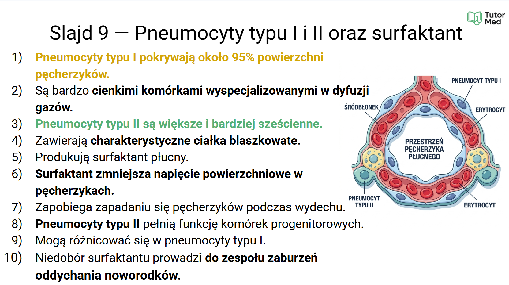 Przykładowa grafika z kursu histologii MedCore Academy - slajd 1